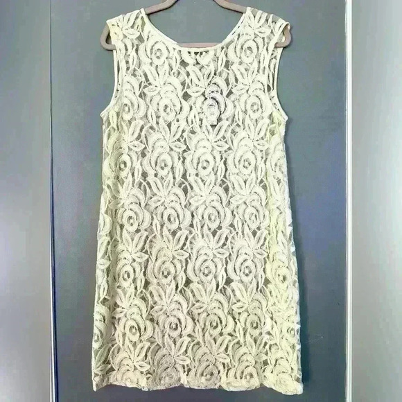 Daisy Fuentes Lace Dress (U10) - Picture 1 of 6